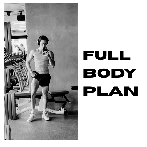FREE Full Body Lifting Plan