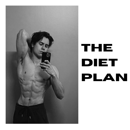 The Diet Plan