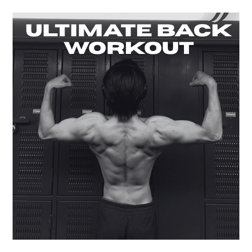 Workout Plan